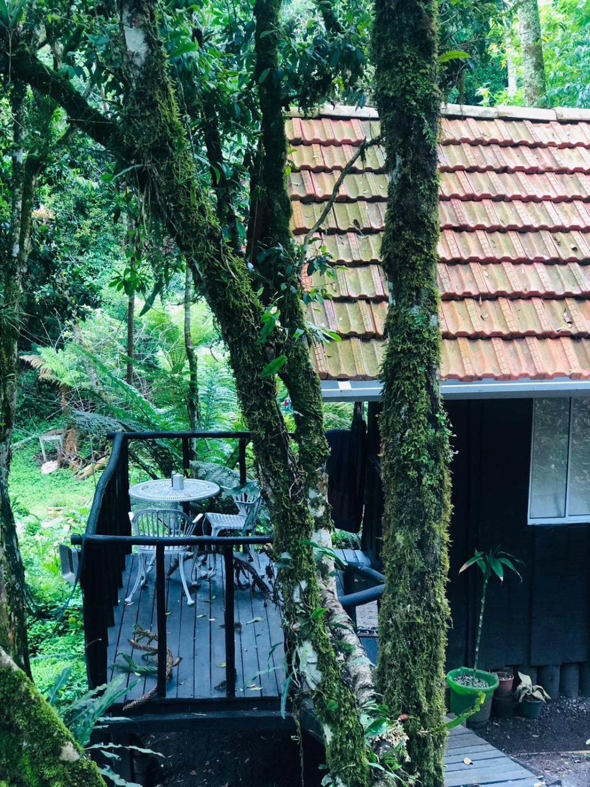 Little Cabana Com Hidromassagem Campos do Jordão 外观 照片